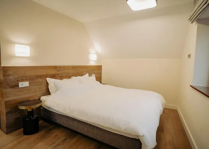 Guest house Zen Den Brasov