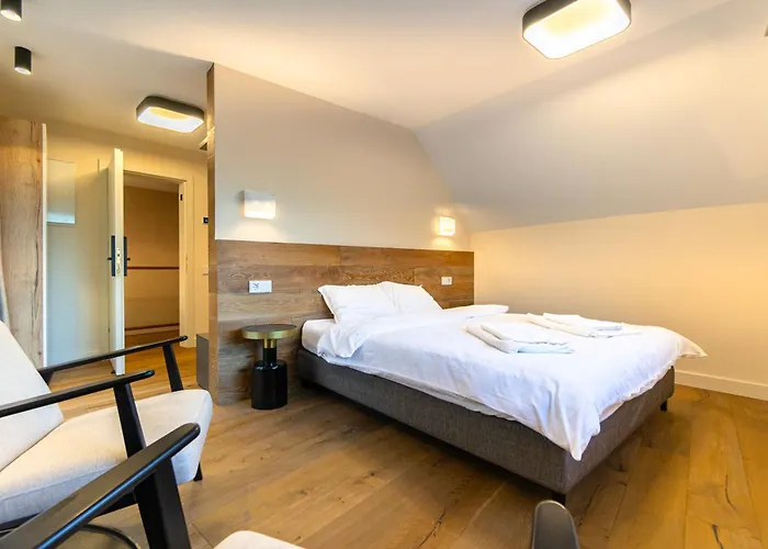 Zen Den Maison d'hôtes Braşov